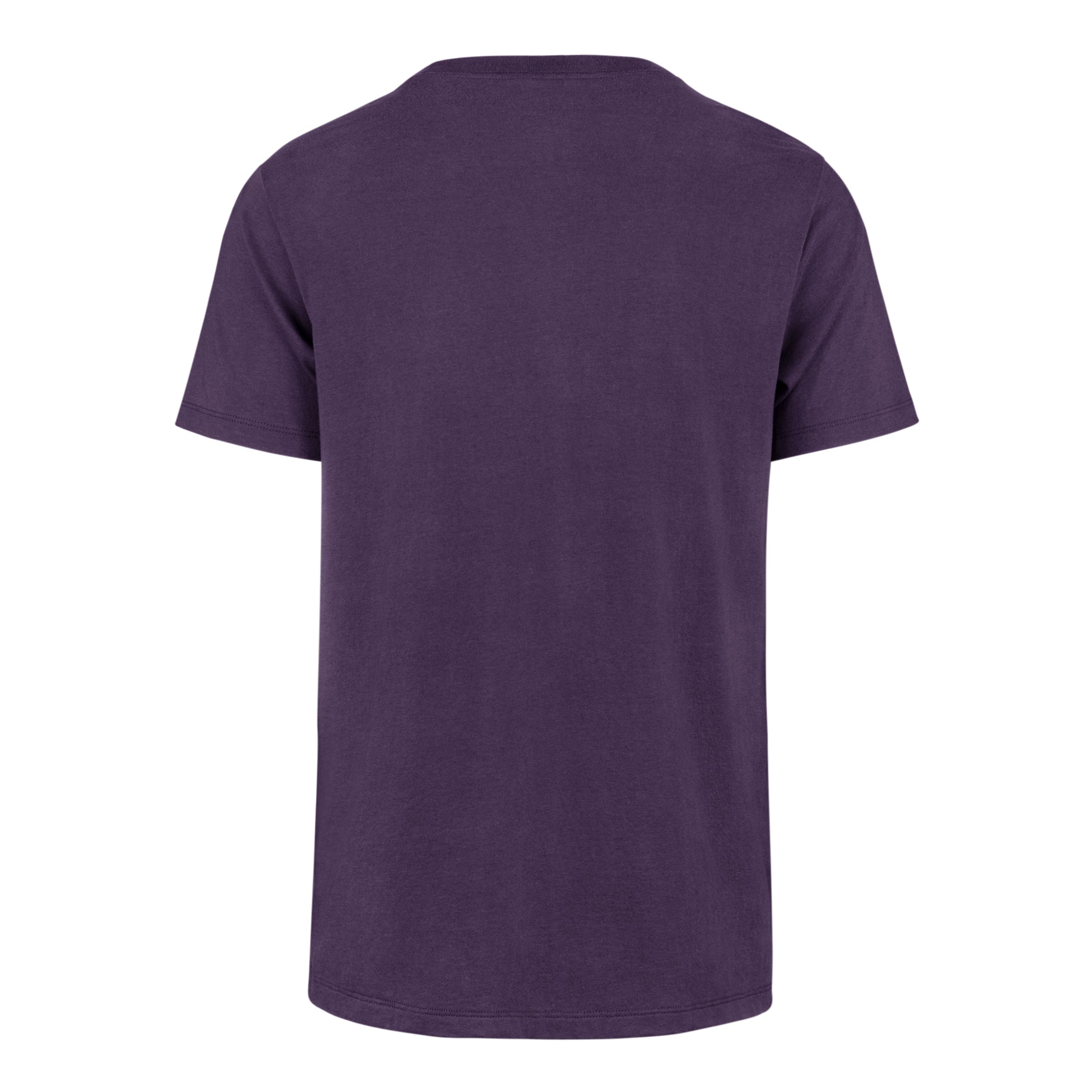 CHARLOTTE HORNETS PREMIER '47 FRANKLIN TEE REGENT PURPLE